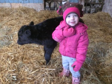 Feb 9 Will calf (6).JPG